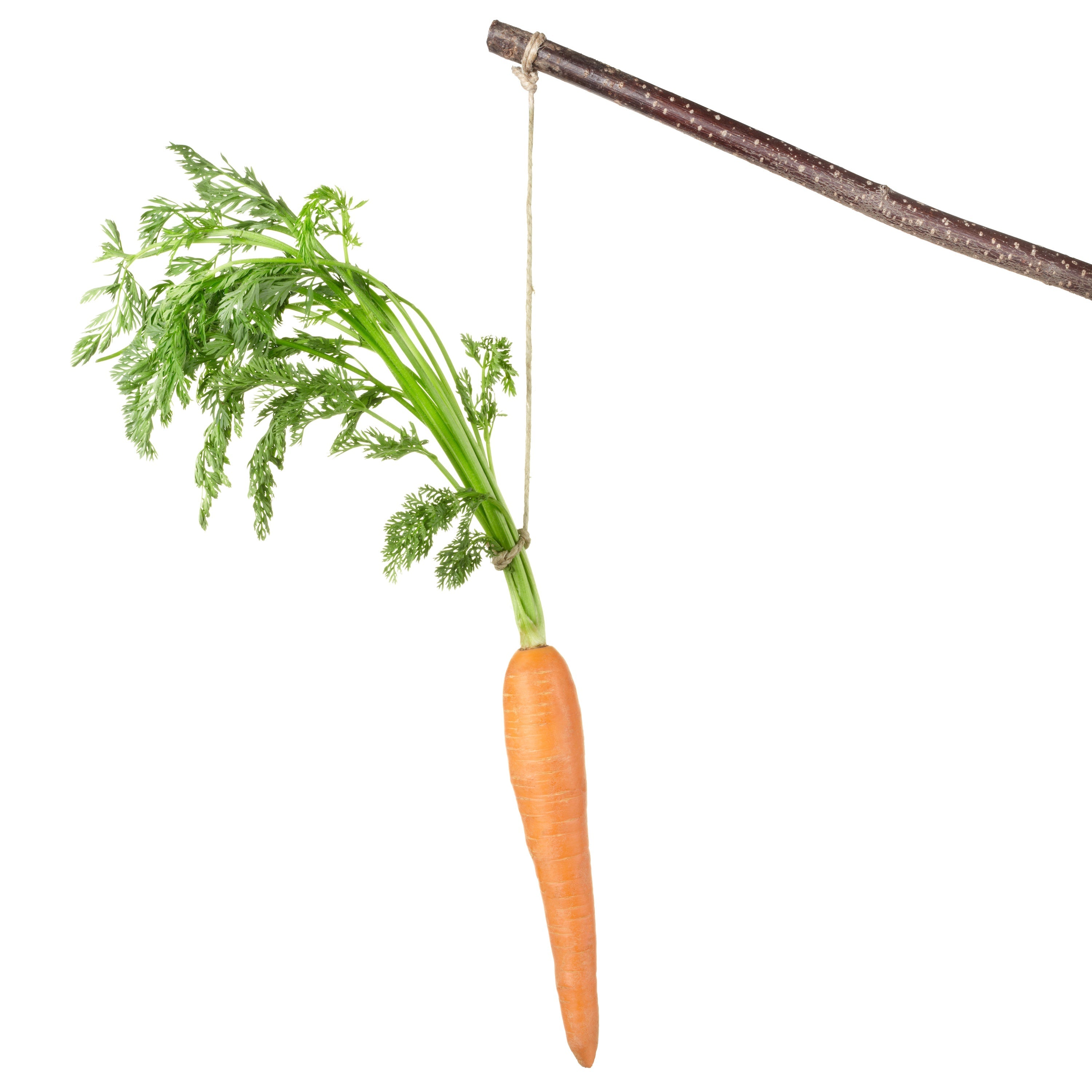 Unlocking the Secret to Employee Motivation: Strategies for Success